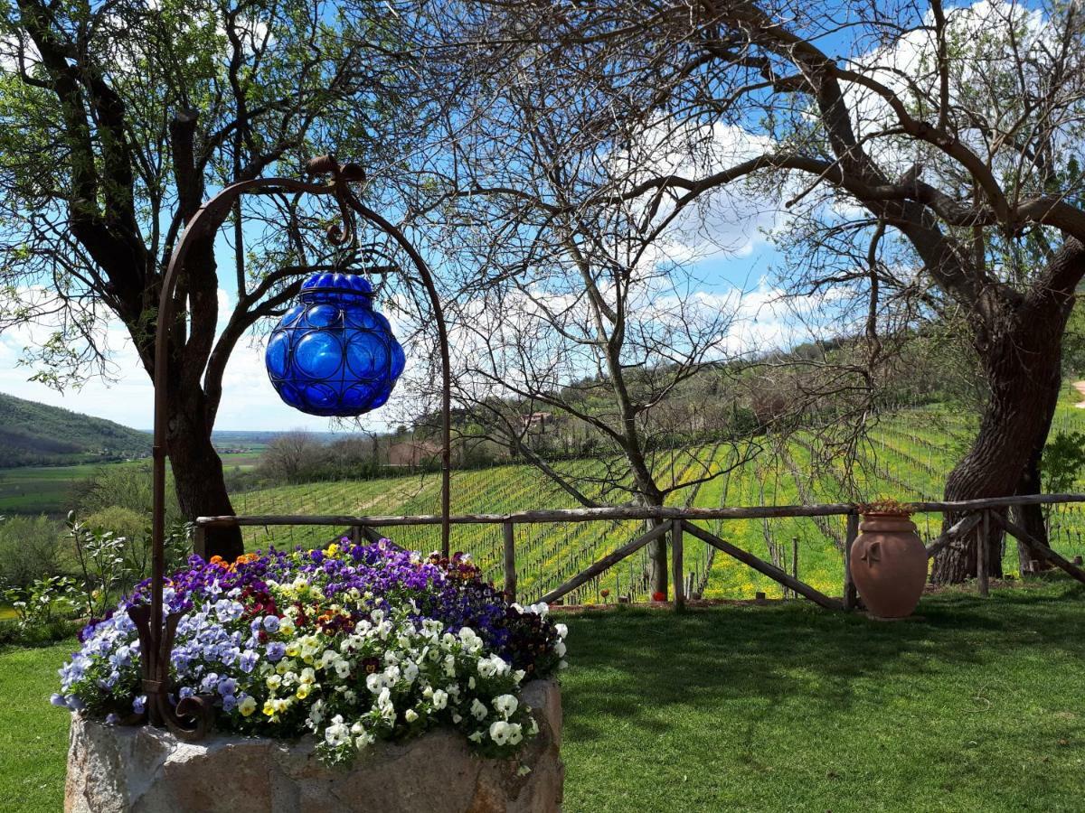 I Grilli B&B Baone ภายนอก รูปภาพ