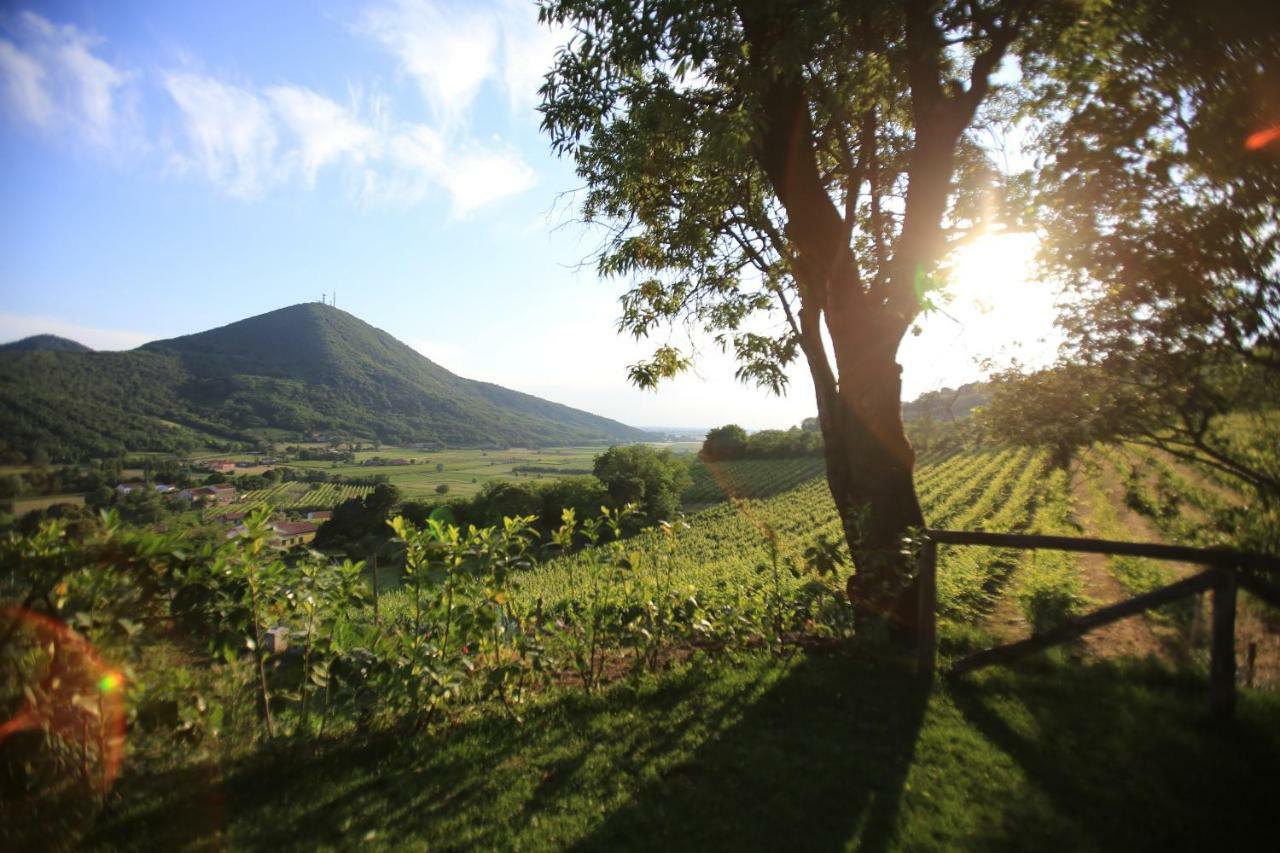 I Grilli B&B Baone ภายนอก รูปภาพ